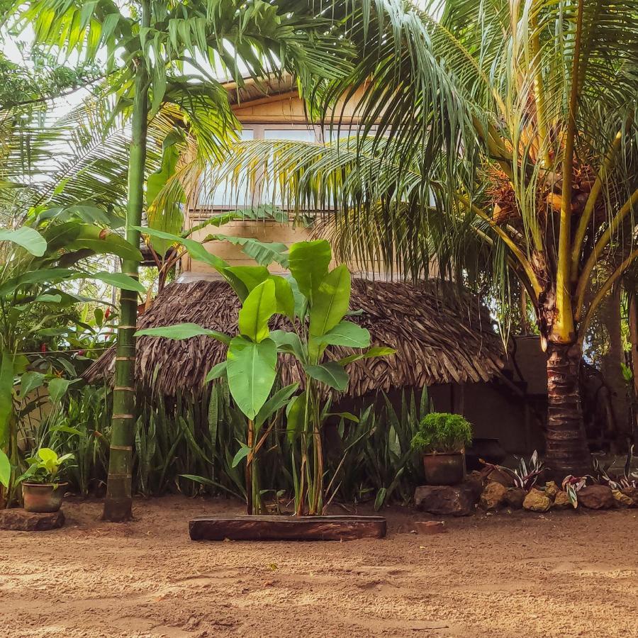 Monsoon Eco Resort - Whisky Point Arugambay Поттувил Экстерьер фото